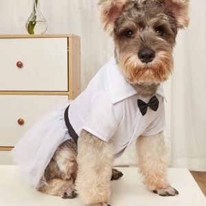 Dog suit